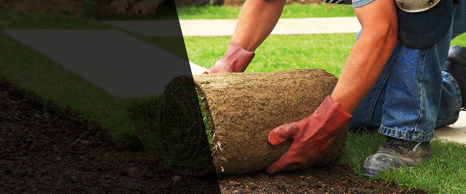 De Queen Landscapers